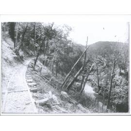 Tramway & Waterrace at Blackcleugh Sawmills