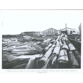 A timber mill at Aoroa, on the Wairoa River, Auckland