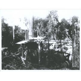 Lidgerwood Log hauler, Port Craig