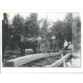 "Horse amazing with a load"