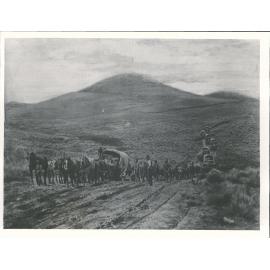 Wagons on the Pigroot