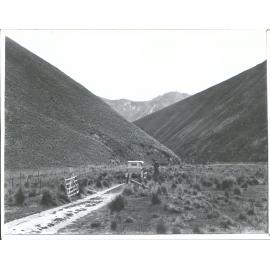 Tussock, Lindis Pass