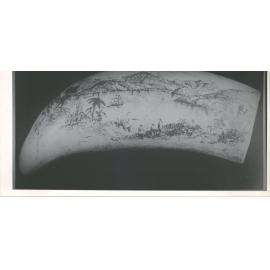 Akaroa Harbour on a Whale Tooth