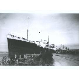 Neaera