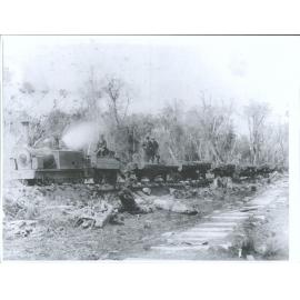 Sawmill Tramway in the Seaward Forest
