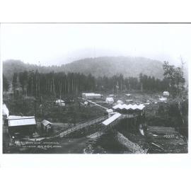 State Mine, Seddonville