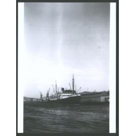Ngaio