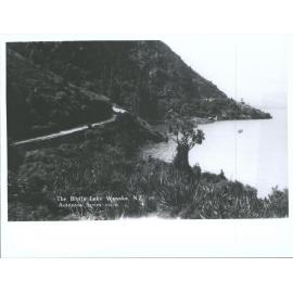 The Bluffs, Lake Wanaka, N.Z.