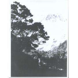 Mount Sefton