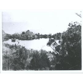 On Pigeon Island, Lake Wanaka