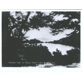 Paradise Lake on Pigeon Island, Lake Wanaka, N.Z.