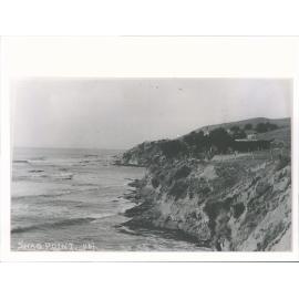 View of Shag Point