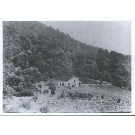 Popotunoa Hill Station with rata trees