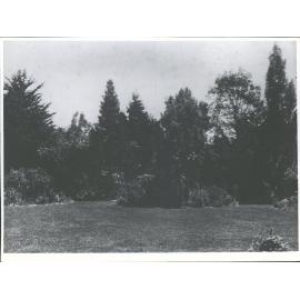 Garden, Shag Valley Station