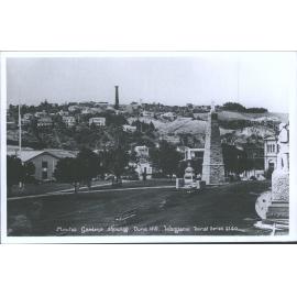 Moutoa Gardens showing Durie Hill, Wanganui