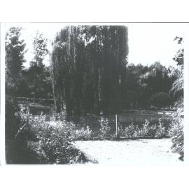 Garden Pond, Shag Valley Station