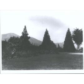 Garden, Shag Valley Station