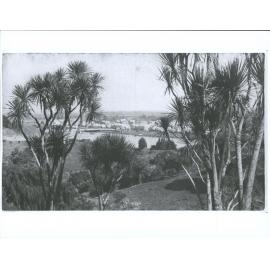 View of Wanganui through cabbage trees