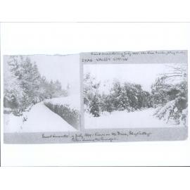 Great Snowstorm of July 1899: Views on the Drive, Shag Valley