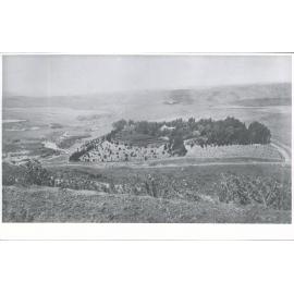 Shag Valley Station Homestead