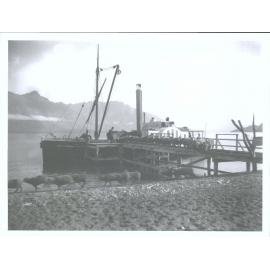 "Antrim" discharging sheep beside Lake Wakatipu