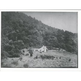 Popotunoa Hill Station, with Rata Trees