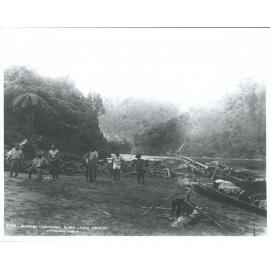 Ohauora - Wanganui River - King Country