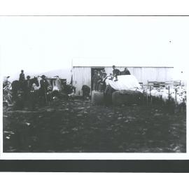 St. Bathans Woolshed