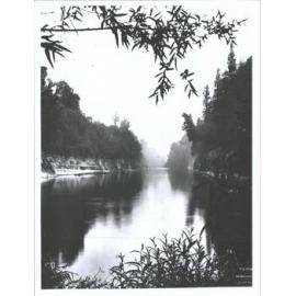 Te Moa, Wanganui River