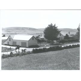 Sheep Station at Waikaia?