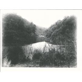 Retaruke Creek, Whakahoro - Wanganui River