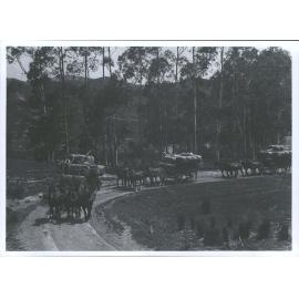 Takapua Station, Auckland Province