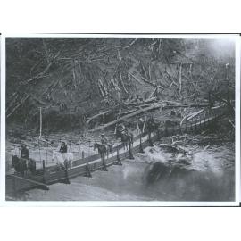 Sheep Bridge, Williams Station, Auckland Province