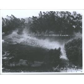 Takapau Station, East Coast, North Island