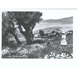 View over Warrington