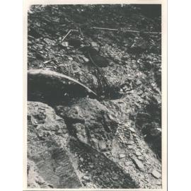 Washing out rock to access gold - J. & H. Kitto's claim