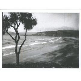 Looking along Warrington Beach
