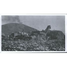 Otakia - Threshing