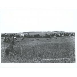 11 reaping machines in one paddock, 500 acres