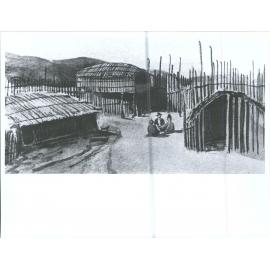 Native Houses, Port Nicholson (Wellington) N.Z.