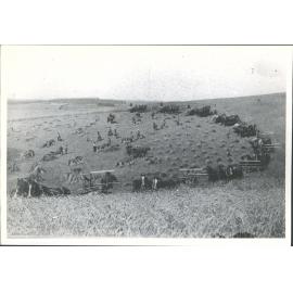Collecting and stacking wheat