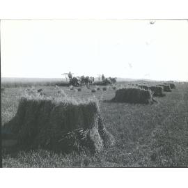 Harvesting in Southland N.Z.
