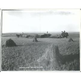 Harvesting in N.Z. Stacking
