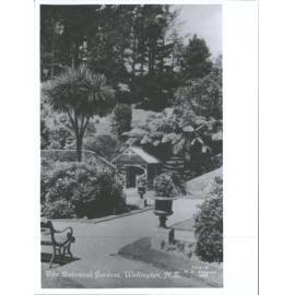 The Botanical Gardens, Wellington, N.Z.