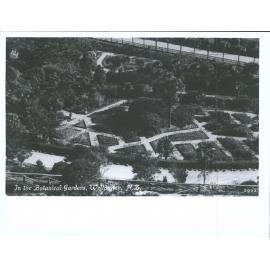 In the Botanical Gardens, Wellington, N.Z.