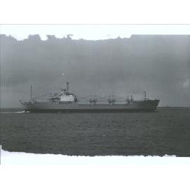 PROFESSOR NIKOLAY BARANSKIY