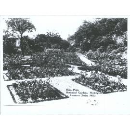 Rose Plots, Botanical Gardens, Wellington, N.Z.