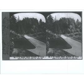 In the Botanical Gardens, Wellington New Zealand