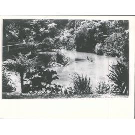 Botanical Gardens, Wellington, N.Z.