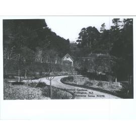 Botanical Gardens, Wellington, N.Z.
